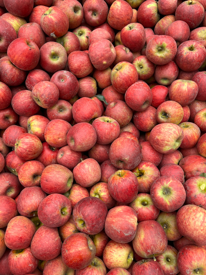 Sparkle Organic Apple - Heartwood Farm and Cidery – Old Galt