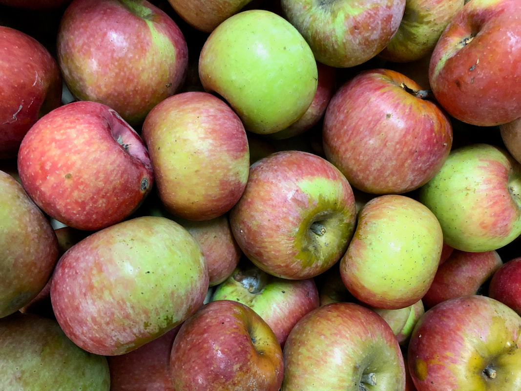 Sparkle Organic Apple - Heartwood Farm and Cidery – Old Galt