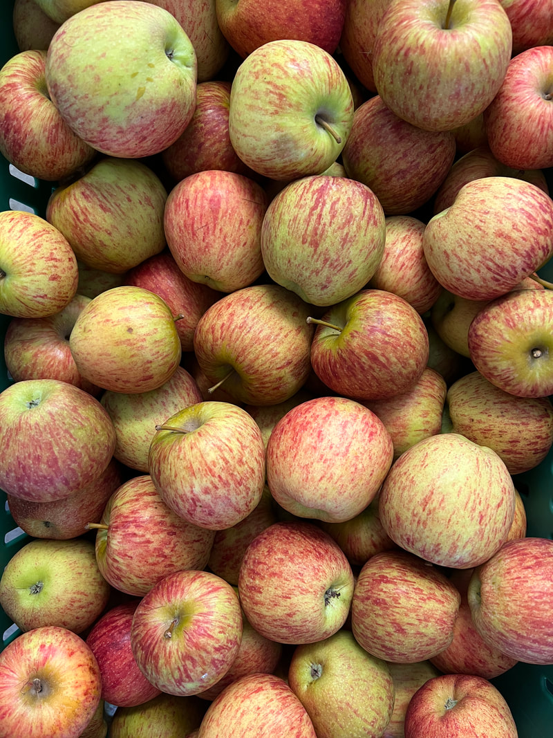 Fresh Organic Ambrosia Apples  Central Market - Really Into Food