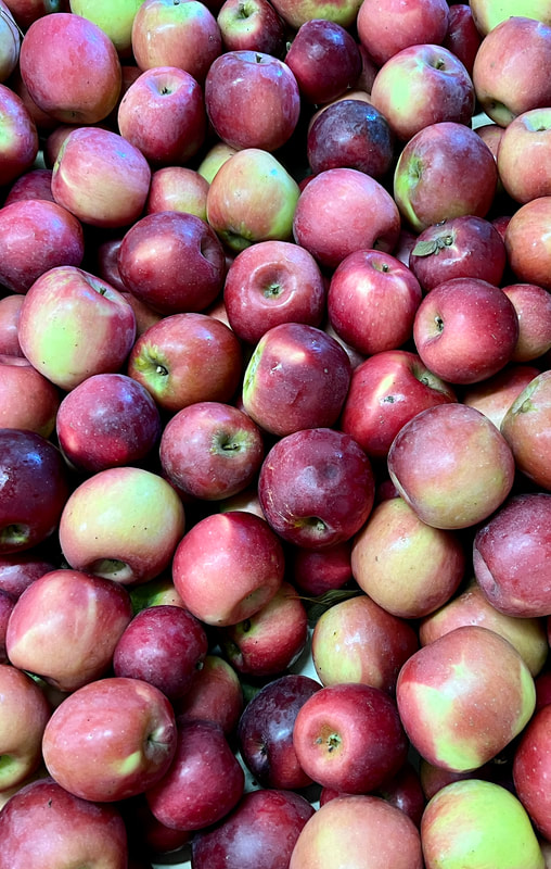 Organic Gala Apples, New & Peak Season